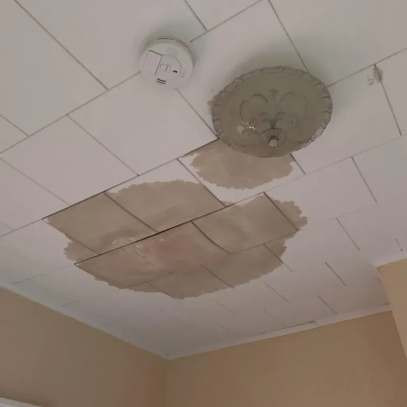 Ceiling Water Damage Repair in Basile, LA